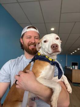 Mixed Breed Dogs Available for Adoption - Shadow  | PetCurious