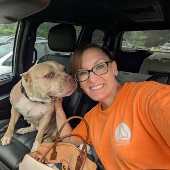 Bella 2 -  Pit Bull Terrier Dog for Adoption in Greenville, Pennsylvania - Bella 2 | PetCurious