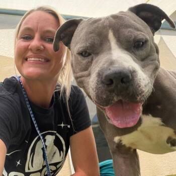 Mixed Breed Dogs Available for Adoption - Zeus | PetCurious