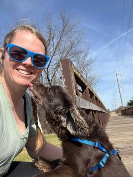 Cocker Spaniel Dogs Available for Adoption in Homer Glen, Illinois - Oakley | PetCurious