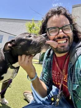 Cornelius Hackl -  Mixed Breed Dog for Adoption in Wichita, Kansas - Cornelius Hackl | PetCurious