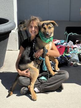 Hunter -  German Shepherd Dog Dog for Adoption in Sanford, North Carolina - Hunter | PetCurious