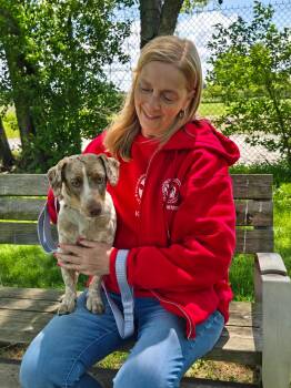 Catahoula Leopard Dog Dogs Available for Adoption in Elyria, Ohio - Beans | PetCurious