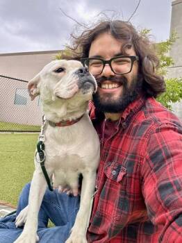 Mixed Breed Dogs Available for Adoption in Wichita, Kansas - Mary | PetCurious