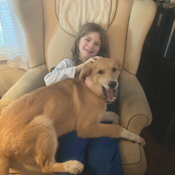 Mixed Breed Dogs Available for Adoption in Winston-salem, North Carolina - Whiskey | PetCurious