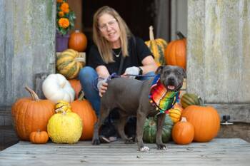 Rescue Pit Bull Terrier Dogs for Adoption in Santa Rosa, California - Maddie | PetCurious