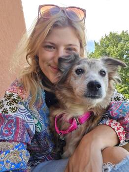 Race Track -  Collie and Shepherd Dog for Adoption in Winter, Wisconsin - Race Track | PetCurious