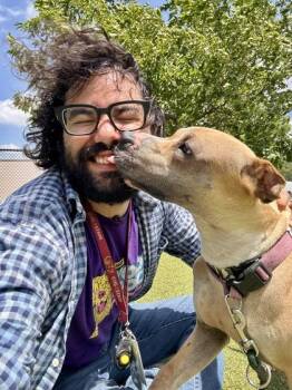 Mixed Breed Dogs Available for Adoption in Wichita, Kansas - Rebel | PetCurious