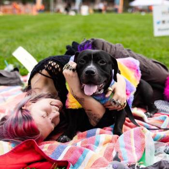 Craig -  Mixed Breed Dog for Adoption in Philadelphia, Pennsylvania - Craig | PetCurious