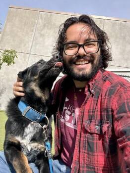 Mixed Breed Dogs Available for Adoption in Wichita, Kansas - Tango | PetCurious