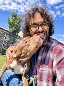 Henrietta Potter -  Mixed Breed Dog for Adoption in Wichita, Kansas - Henrietta Potter | PetCurious