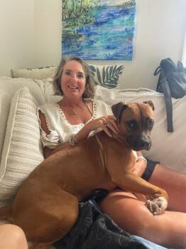 Cinnamon -  Mixed Breed Dog for Adoption in Cincinnati, Ohio - Cinnamon | PetCurious