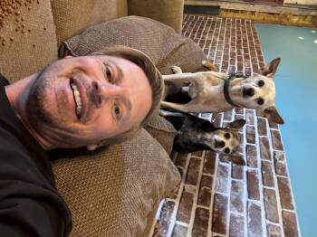 Rescue Chihuahua Dogs for Adoption in Dewey-humboldt, Arizona - Buppy & Bebe | PetCurious