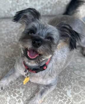 Snookie available at Charlie