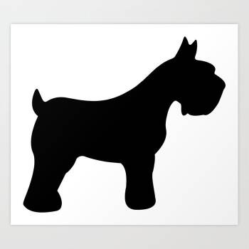 Rescue Mixed Breed Dogs for Adoption in Lake Jackson, Texas - Tucker | PetCurious