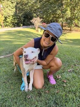 Mitzi -  Mixed Breed Dog for Adoption in Chamblee, Georgia - Mitzi | PetCurious