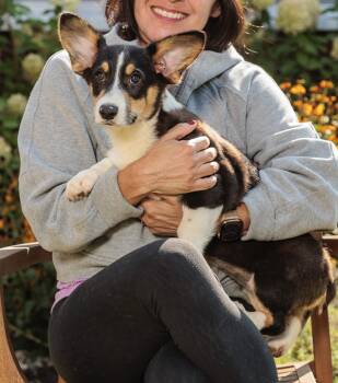 Rescue Corgi Dogs for Adoption in Chester Springs, Pennsylvania - Little Hope, Little Chance, Little Promise, Little Faith, Little | PetCurious