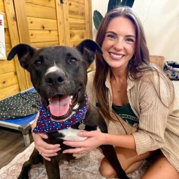 Huey Loves Hugs -  Black Labrador Retriever and German Shepherd Dog Dog for Adoption in Friendswood, Texas - Huey Loves Hugs | PetCurious