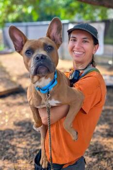 Justice -  Mixed Breed Dog for Adoption in Cincinnati, Ohio - Justice | PetCurious