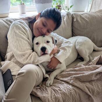 Pit Bull Terrier Dogs Available for Adoption in Baltimore, Maryland - Paste | PetCurious