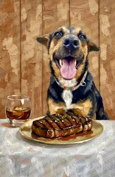 Shepherd Dogs Available for Adoption - Rico Suave | PetCurious