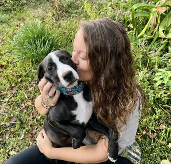 Rescue Hound and American Staffordshire Terrier Dogs for Adoption in Gulfport, Mississippi - Luke | PetCurious