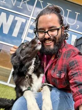 Mixed Breed Dogs Available for Adoption - Granger | PetCurious