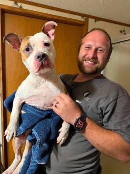 Caia -  Mixed Breed Dog for Adoption in Raleigh, North Carolina - Caia | PetCurious
