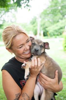 Woody -  Mixed Breed Dog for Adoption in Franklin, Tennessee - Woody | PetCurious