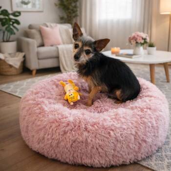 Yorkshire Terrier Dogs Available for Adoption in Copiague, New York - Ozzy | PetCurious