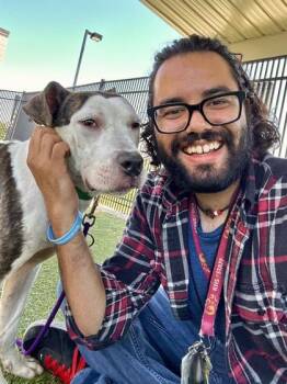 Psyduck -  Mixed Breed Dog for Adoption in Wichita, Kansas - Psyduck | PetCurious