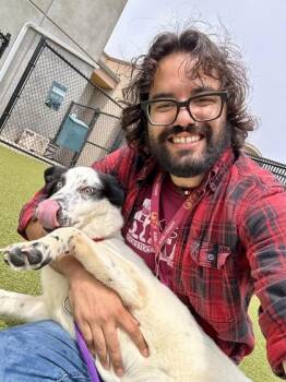 Mixed Breed Dogs Available for Adoption in Wichita, Kansas - The D.A.R.E. Program | PetCurious