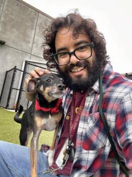 Axel -  Mixed Breed Dog for Adoption in Wichita, Kansas - Axel | PetCurious