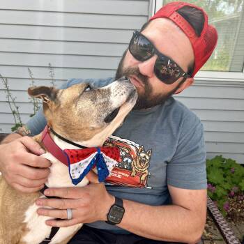 Rescue Pit Bull Terrier Dogs for Adoption in Chicago, Illinois - Trixie | PetCurious