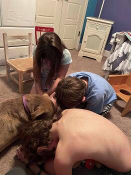 Rescue Pit Bull Terrier Dogs for Adoption in Wantagh, New York - Wilbur - Foster Or Adopter Needed | PetCurious