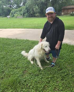 Baymax HTX -  Great Pyrenees Dog for Adoption in Quinlan, Texas - Baymax HTX | PetCurious