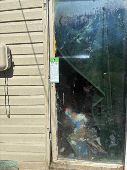 Mixed Breed Dogs Available for Adoption - Hammy Shammy | PetCurious