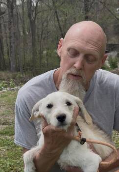 Terrier Dogs Available for Adoption - Quill | PetCurious