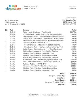 Rottweiler Dogs Available for Adoption - Mocha | PetCurious