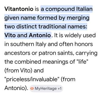 Vitantonio 7561 -  German Shepherd Dog and Dutch Shepherd Dog for Adoption in Centreville, Virginia - Vitantonio 7561 | PetCurious