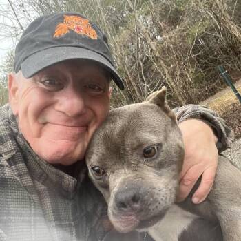 Mixed Breed Dogs Available for Adoption - Puff | PetCurious