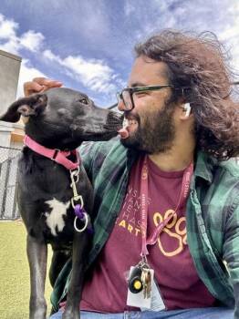 Symbol of Peace -  Mixed Breed Dog for Adoption in Wichita, Kansas - Symbol Of Peace | PetCurious