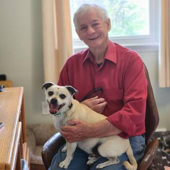 Pug and Chihuahua Dogs Available for Adoption in Toms Brook, Virginia - Curly | PetCurious