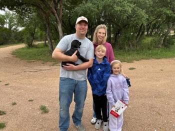 Labrador Retriever Dogs Available for Adoption in Austin, Texas - Laos | PetCurious