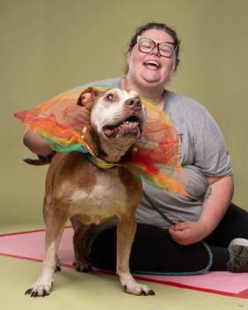 Pirate Pete -  Mixed Breed Dog for Adoption in Atlanta, Georgia - Pirate Pete | PetCurious