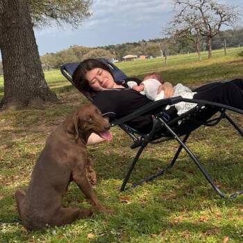 Weimaraner Dogs Available for Adoption - Winnie – Loving, Cuddles, Great Temperament, Good W/dogs & Child | PetCurious