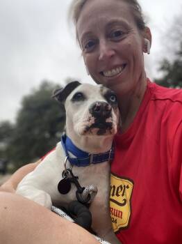 Pit Bull Terrier Dogs Available for Adoption - Geedorah | PetCurious