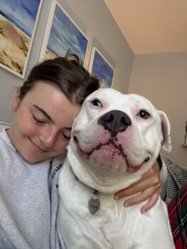 Rescue Mixed Breed Dogs for Adoption in North Charleston, South Carolina - Lucky | PetCurious