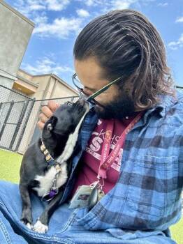 Sissy -  Mixed Breed Dog for Adoption in Wichita, Kansas - Sissy | PetCurious
