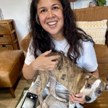 CRICKET (701) -  Cattle Dog and Mixed Breed Dog for Adoption in Indiantown, Florida - CRICKET (701) | PetCurious